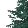 3d Blue Atlas Cedar