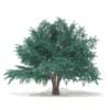 CGAxis Models Volume 69 Trees VIII - Image 36