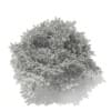 3d Blue Atlas Cedar