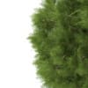 3d White Cedar