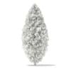 3d White Cedar