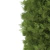 3d White Cedar