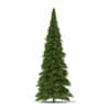 3d White Cedar