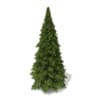 3d White Cedar