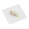 Ginger on White Plate