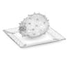 Horned Melon on White Plate