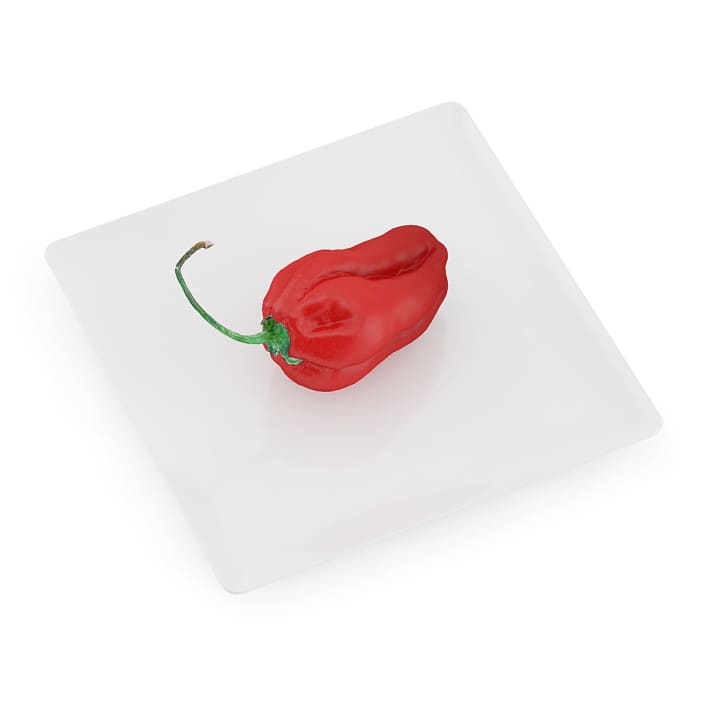 Habanero Chilli on White Plate