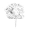 Catalpa