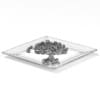 Pistachios on White Plate