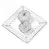 Apples on White Plate