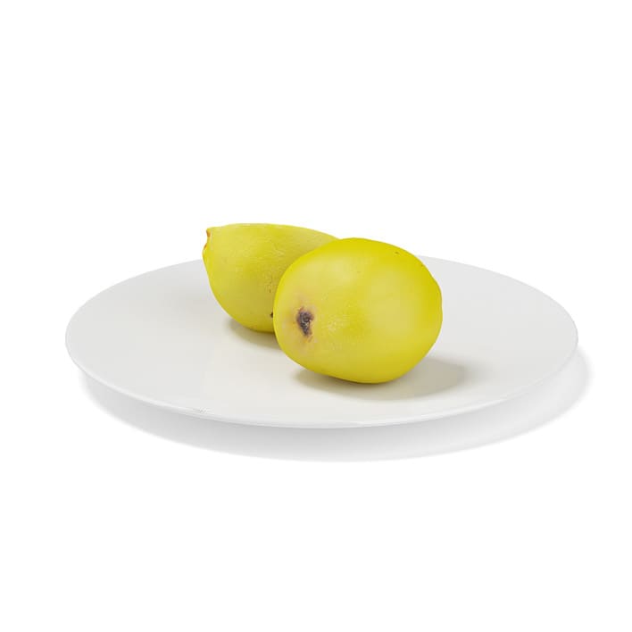 Quince on White Plate