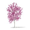 CGAxis Models Volume 76 Trees X - Image 7