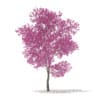 CGAxis Models Volume 76 Trees X - Image 9