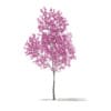 CGAxis Models Volume 76 Trees X - Image 10