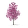 CGAxis Models Volume 76 Trees X - Image 11