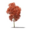CGAxis Models Volume 76 Trees X - Image 16