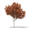 CGAxis Models Volume 76 Trees X - Image 19