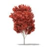 CGAxis Models Volume 76 Trees X - Image 20