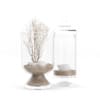 Glass Containers with Sand and Shells - Image 3