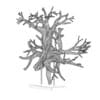 Tree Root Decoration - Image 4