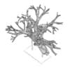 Tree Root Decoration - Image 6