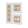 Starfish Wall Decoration - Image 5