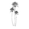 Three Palm Trees - Image 2