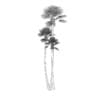 Three Palm Trees - Image 4