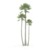 Three Palm Trees - Image 7
