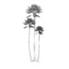 Three Palm Trees - Image 8