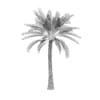 Palm Tree - Image 2