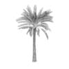 Palm Tree - Image 8