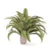 CGAxis Models Volume 85 Exotic Plants II - Image 5