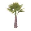 CGAxis Models Volume 85 Exotic Plants II - Image 6