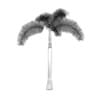 Foxtail Palm - Image 2