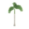 Foxtail Palm - Image 3