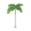 Foxtail Palm - Image 7