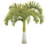 Christmas Palm Tree - Image 5