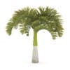 CGAxis Models Volume 85 Exotic Plants II - Image 8