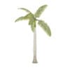 Royal Palm - Image 7
