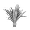 Pineapple Palm - Image 2
