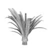 Pineapple Palm - Image 4