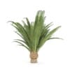 CGAxis Models Volume 85 Exotic Plants II - Image 10