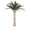 Pineapple Palm - Image 3