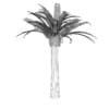 Pineapple Palm - Image 4