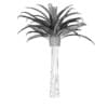 Pineapple Palm - Image 8