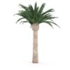 CGAxis Models Volume 85 Exotic Plants II - Image 11