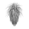 Palm Tree - Image 6