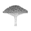 Dragon Tree - Image 4