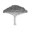 Dragon Tree - Image 6